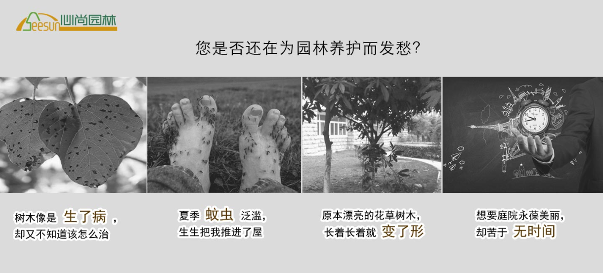 恒峰g22 - 官网入口 -- 天天有惊喜